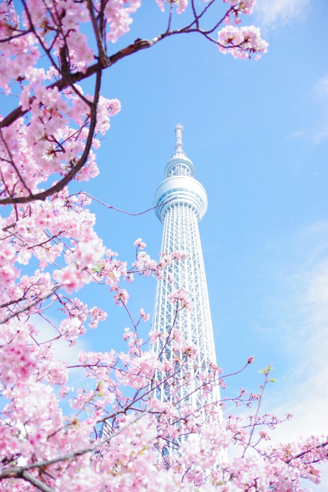 スカイツリー